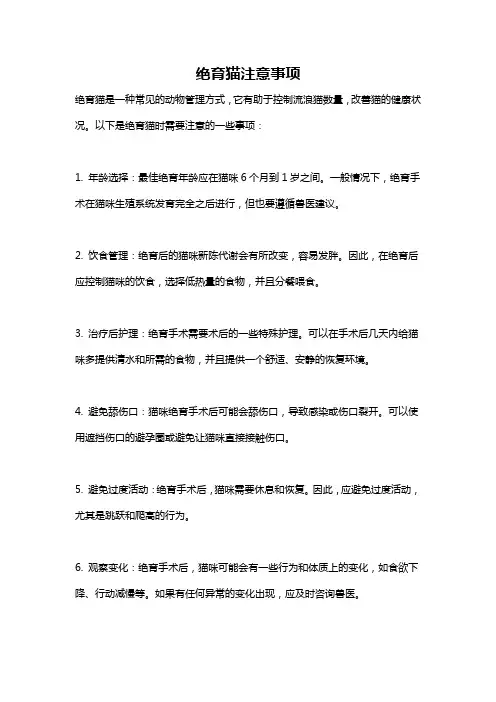 绝育猫注意事项