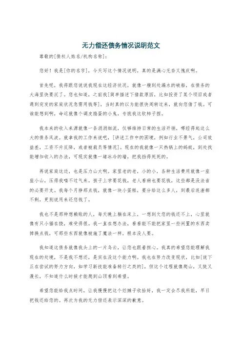 无力偿还债务情况说明范文