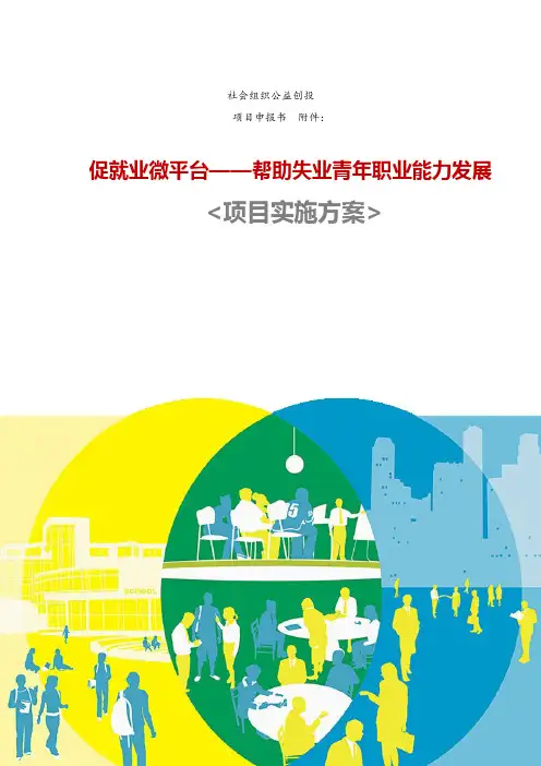 社会组织公益创投项目实施方案申报书范例