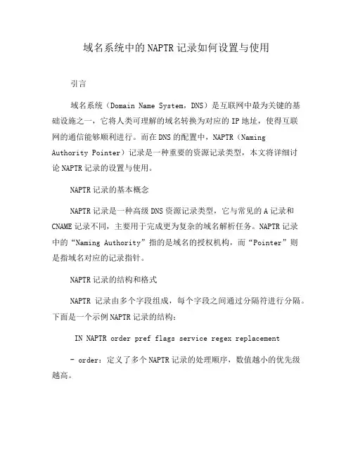 域名系统中的NAPTR记录如何设置与使用(一)