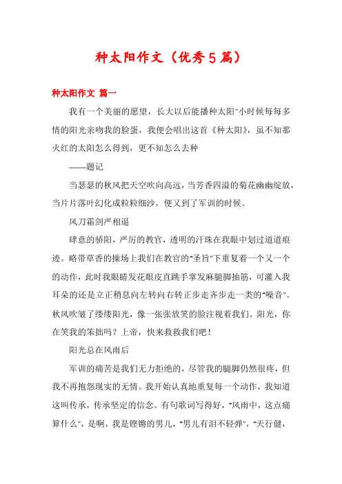种太阳作文(优秀5篇)