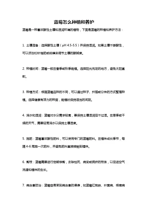 蓝莓怎么种植和养护