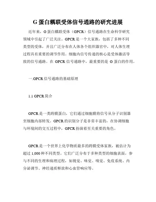G蛋白耦联受体信号通路的研究进展