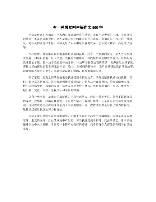 有一种感觉叫幸福作文500字