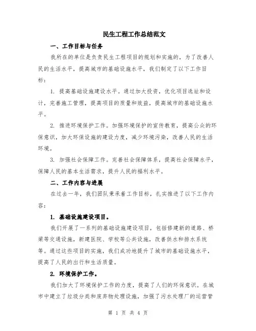 民生工程工作总结范文
