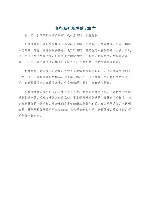 长征精神观后感500字