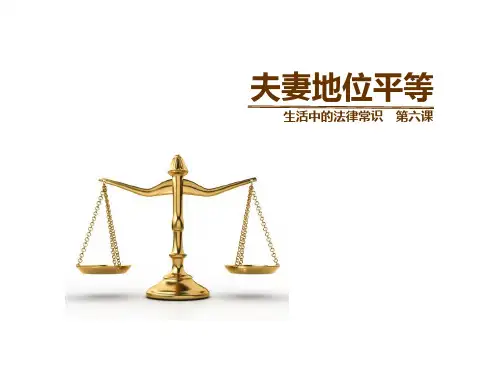6.2夫妻间的人身财产关系公开课教案教学设计课件案例