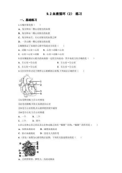北师大版生物七年级下册 血液循环(2) 同步练习