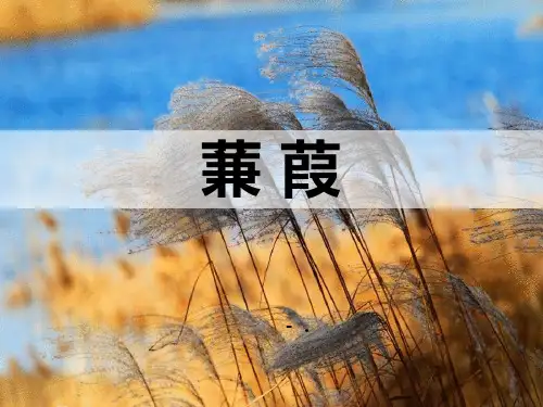 《蒹葭》PPT优秀课件