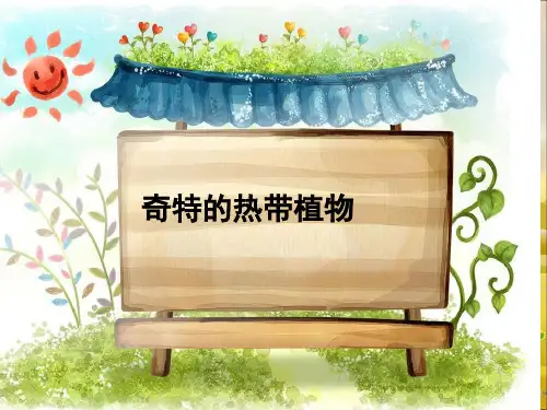 三年级上册美术课件-5.14 奇特的热带植物丨岭南版 (共21张PPT) (1)