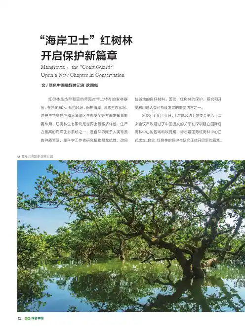 “海岸卫士”红树林__开启保护新篇章