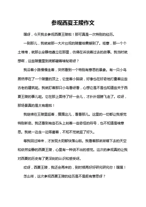 参观西夏王陵作文