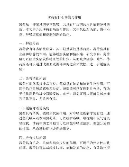 薄荷有什么功效与作用