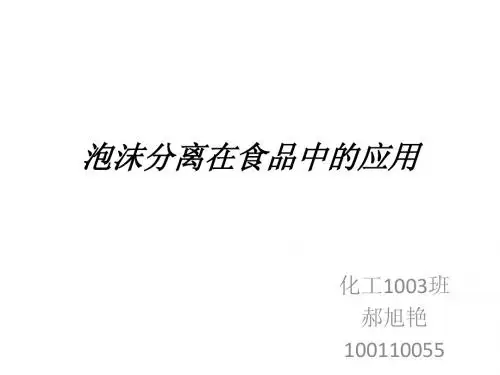 泡沫分离在食品中的应用——郝旭艳