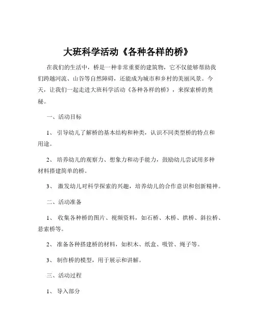 大班科学活动《各种各样的桥》