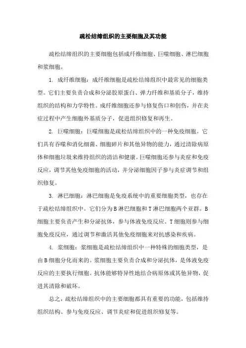 疏松结缔组织的主要细胞及其功能