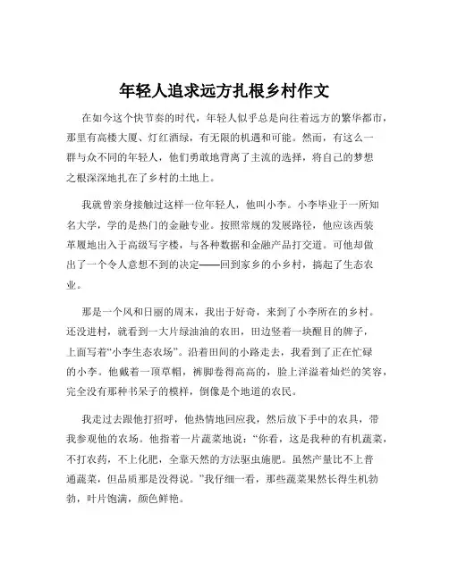 年轻人追求远方扎根乡村作文