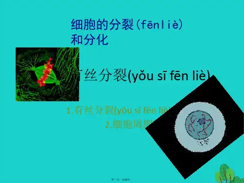 高中生物第二册第7章细胞的分裂和分化7.2有丝分裂课件3沪科版