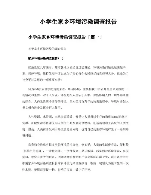 小学生家乡环境污染调查报告