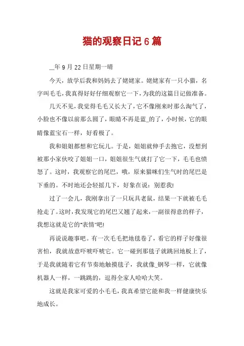 猫的观察日记6篇