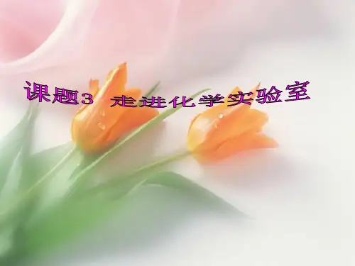 人教版九年级化学上册 第一单元 课题3 走进化学实验室(共12张PPT)