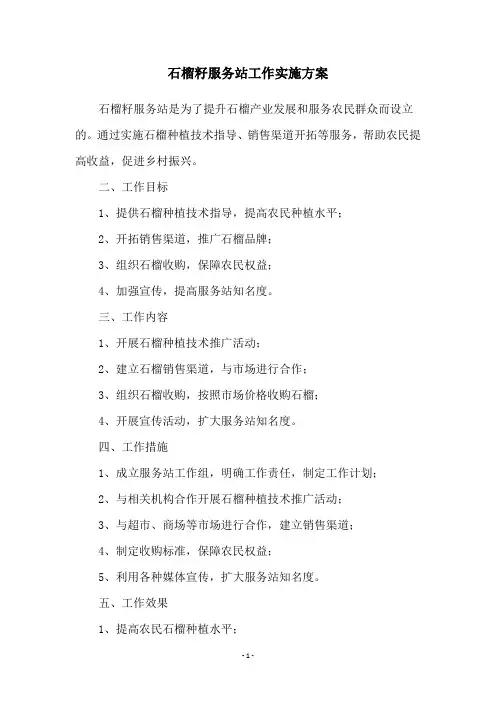 石榴籽服务站工作实施方案