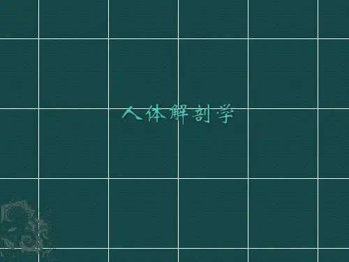 人体解剖学 骨学、内脏学