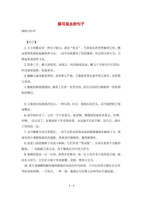 描写昆虫的句子
