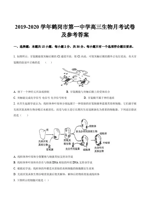 2019-2020学年鹤岗市第一中学高三生物月考试卷及参考答案