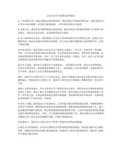 企业安全生产标准化评审报告