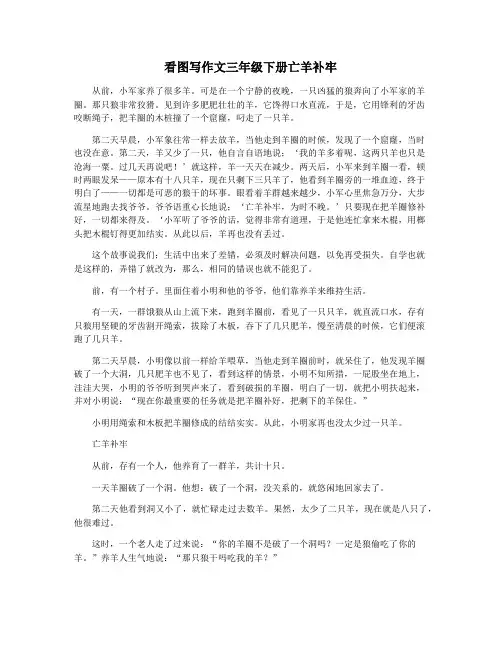 看图写作文三年级下册亡羊补牢