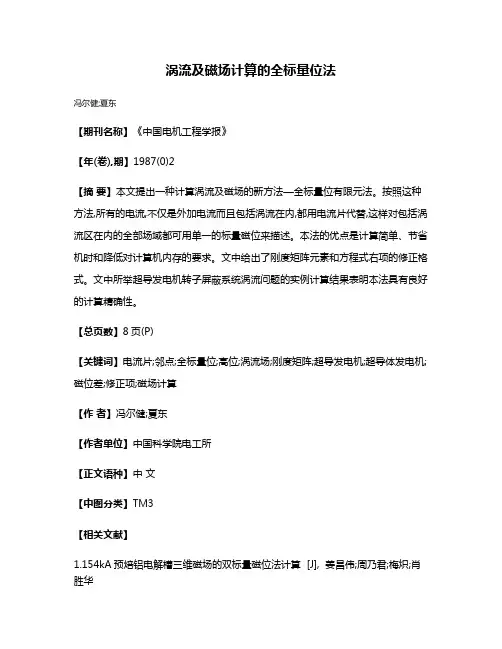 涡流及磁场计算的全标量位法
