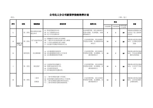 电工培养计划表