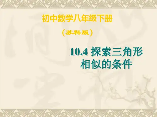 探索三角形相似的条件精选教学PPT课件