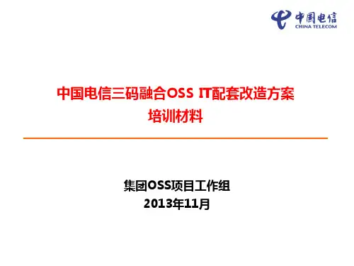 全网统一资源数据模型培训教材-三码融合方案