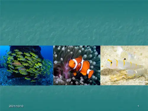 海洋生物知识