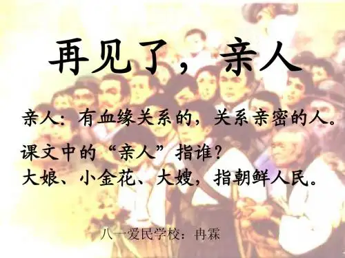 14、《再见了_亲人》.ppt