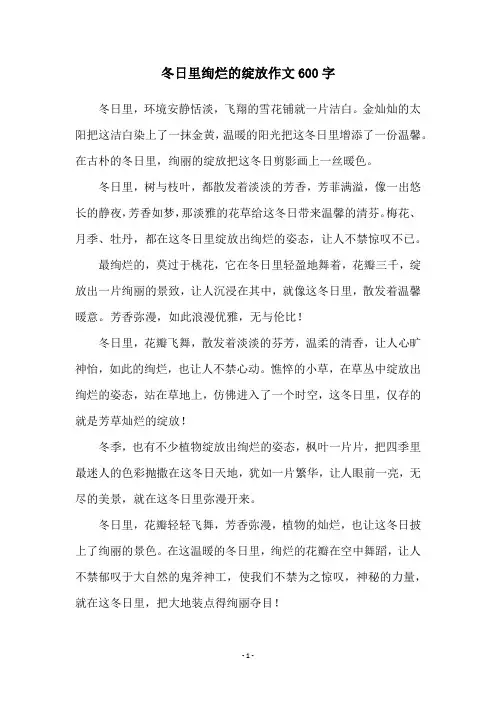 冬日里绚烂的绽放作文600字