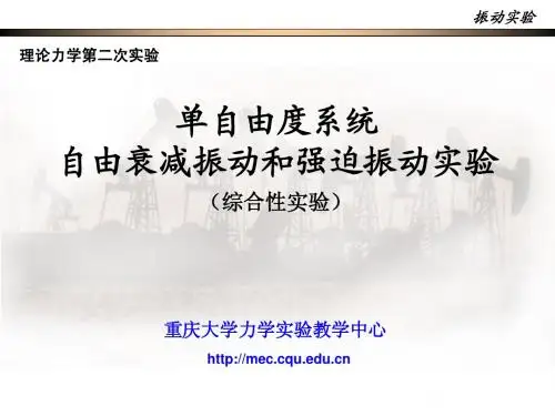 第2次实验)理论力学振动实验一(08.7)