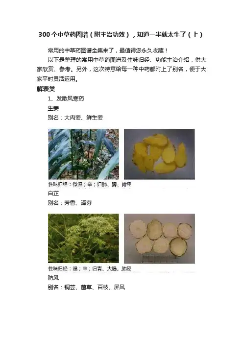 300个中草药图谱（附主治功效），知道一半就太牛了（上）