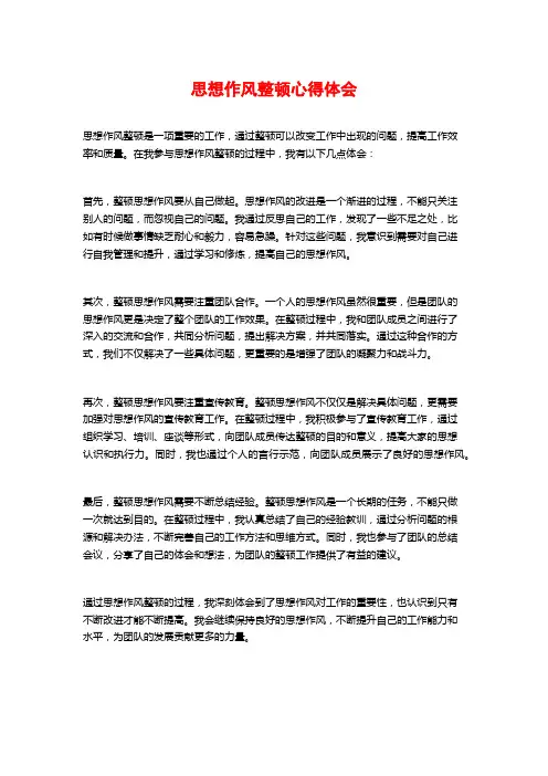 思想作风整顿心得体会