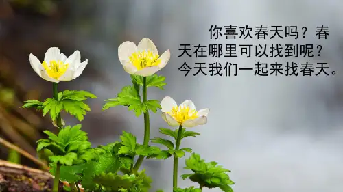 【最新】部编版二年级语文下册《2 找春天》ppt公开课课件完美