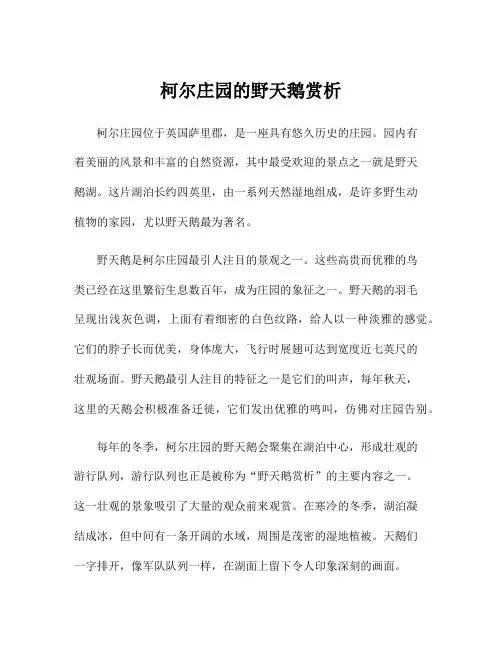 柯尔庄园的野天鹅赏析