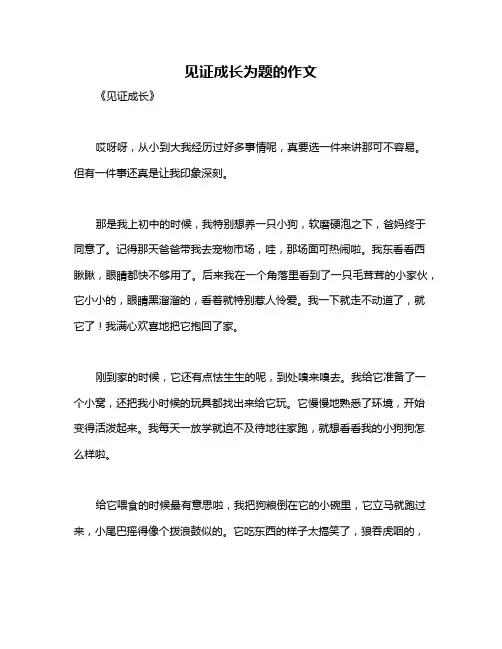 见证成长为题的作文