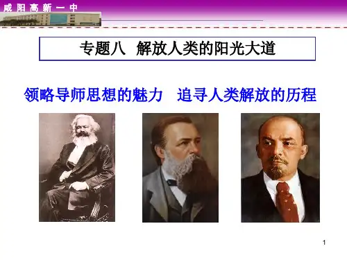 历史必修一专题八解放人类的阳光大道