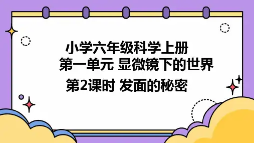 小学六年级科学上册第一单元 显微镜下的世界第2课时 发面的秘密