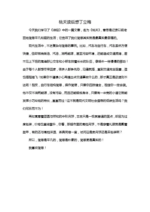 桃夭读后感丁立梅