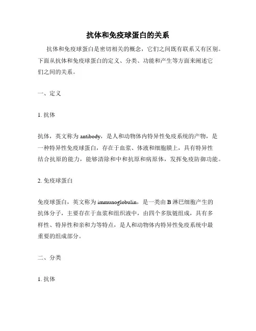 抗体和免疫球蛋白的关系