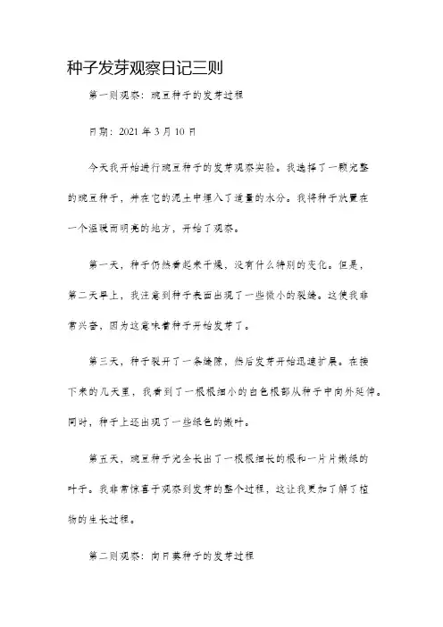 种子发芽观察日记三则