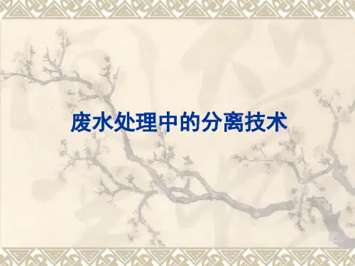 污水处理中的分离技术